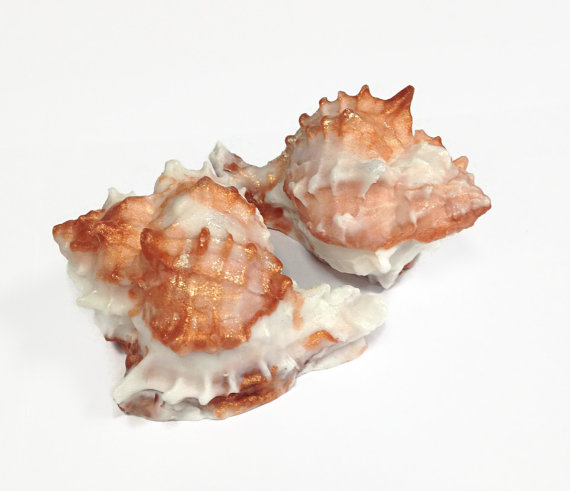 Seashell Soap Set Seashell Soap Set